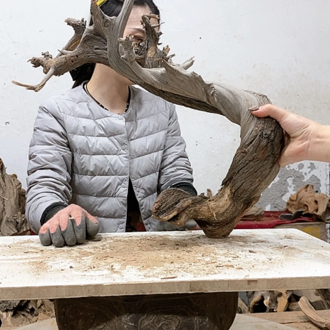 【闪购商品】柏木魇我们都是好孩子