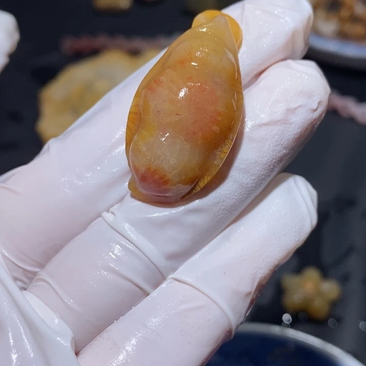 【闪购商品】未镶嵌珊瑚玉硅化玉