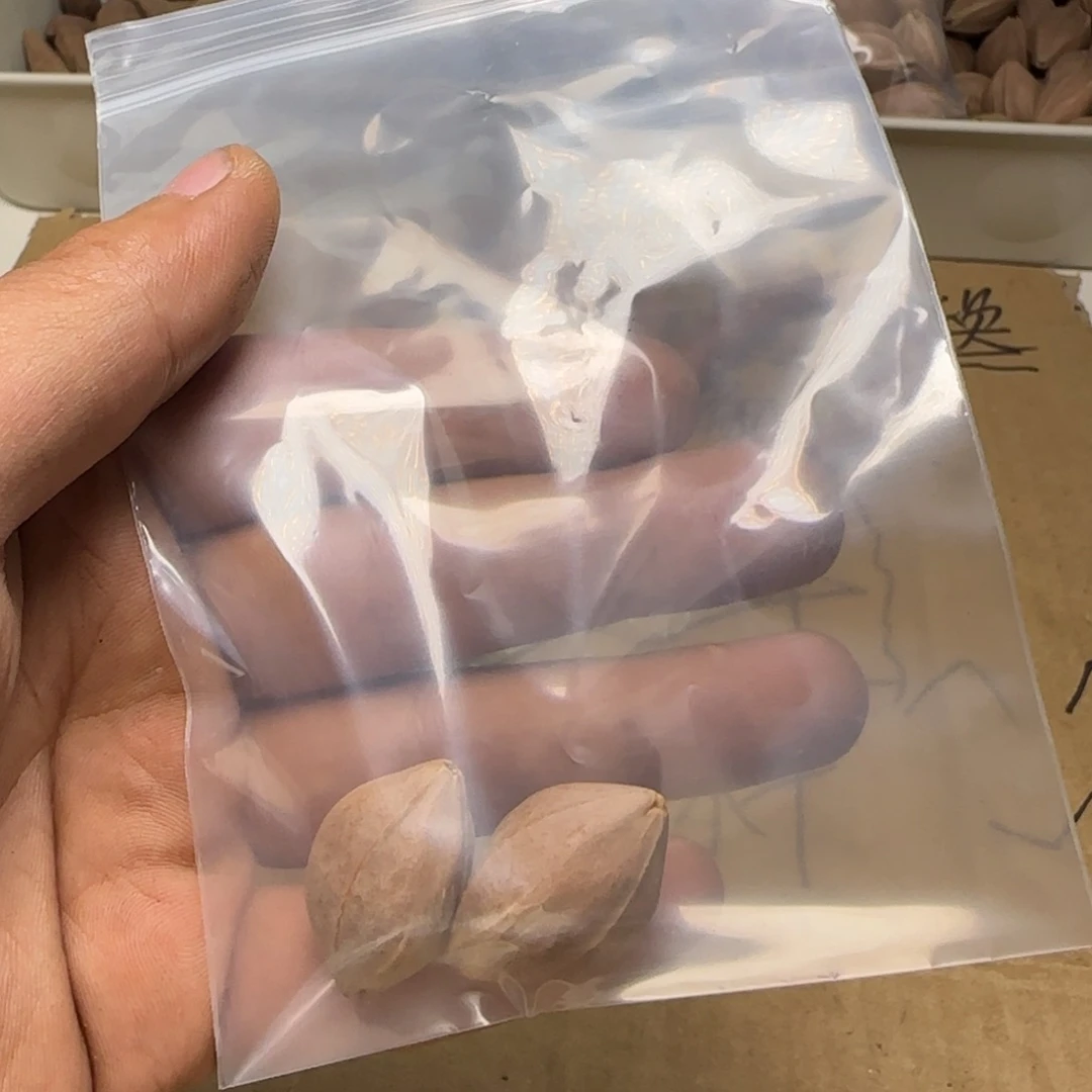 【闪购商品】橄榄核手串/手链淡****211111111