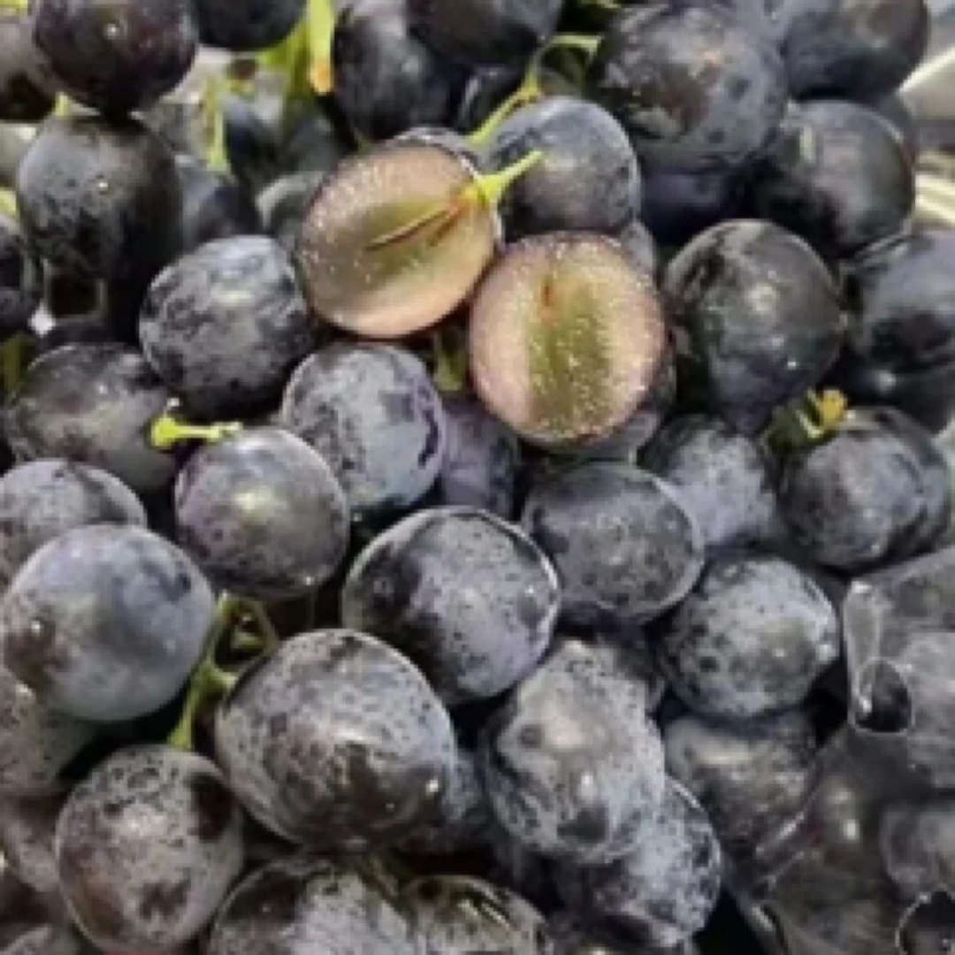 玫瑰香葡萄一斤辽宁省