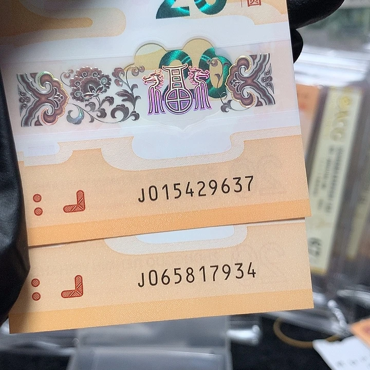塑料龙钞乱蛇号两张