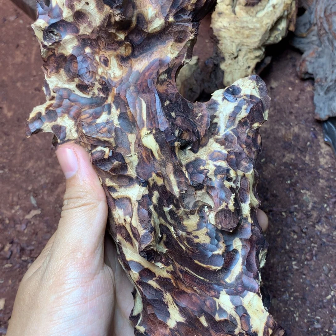 山***然黄花梨/降香黄檀把件原料定制切开不退不换。