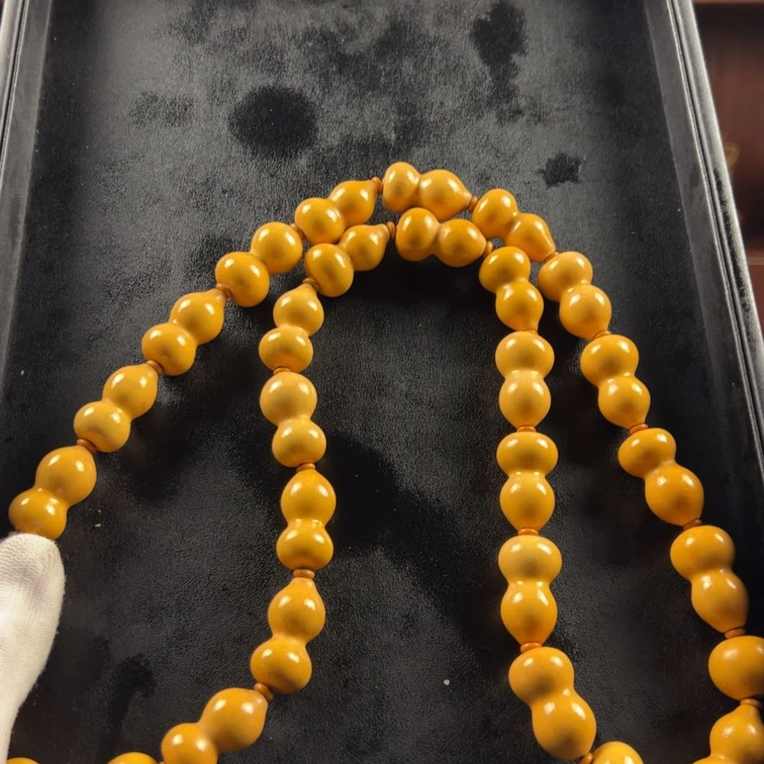 教****Z你说的句句戳心