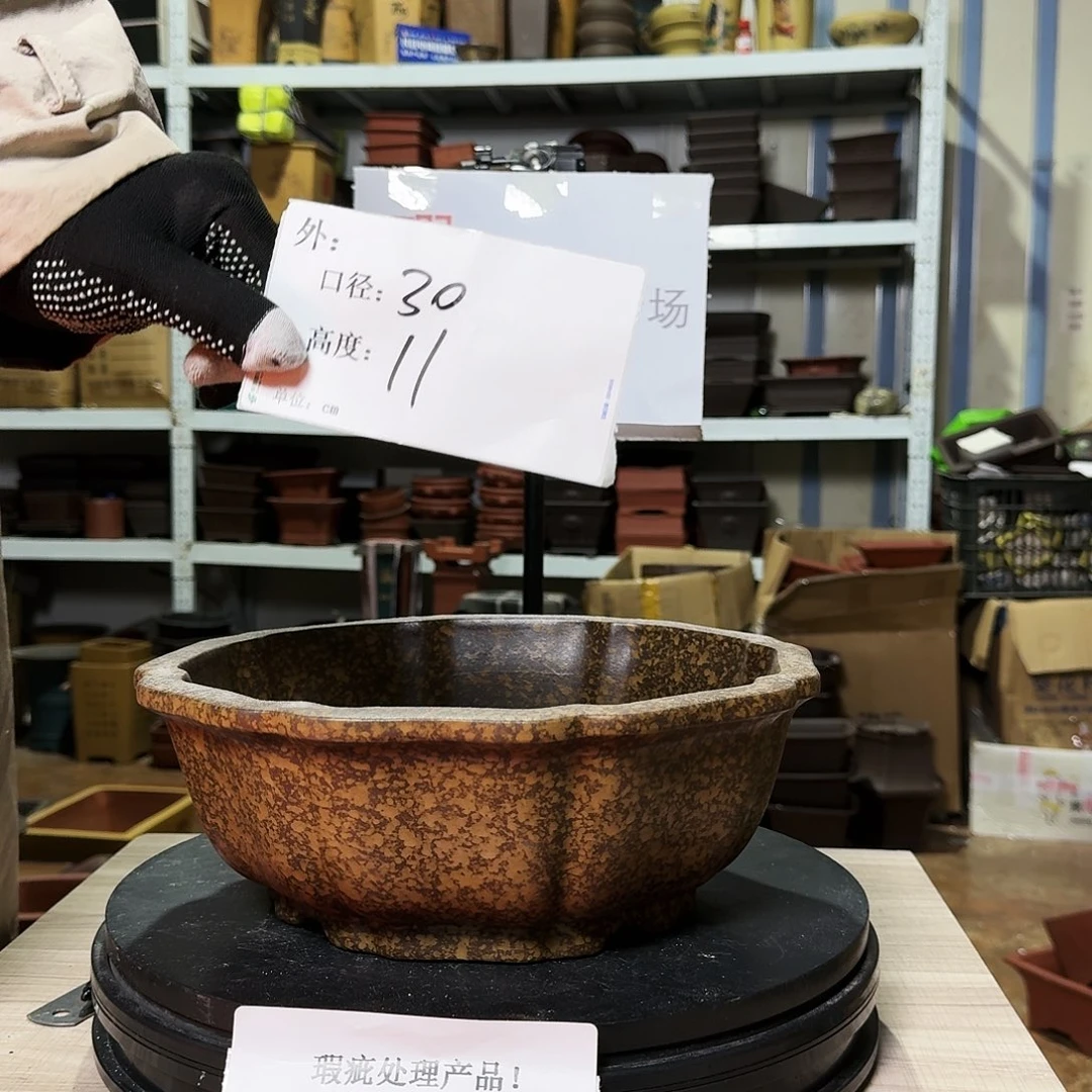 紫砂花盆哈哈这是我的新