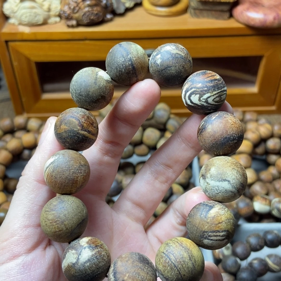 航***️贡木贡木贡木贡木