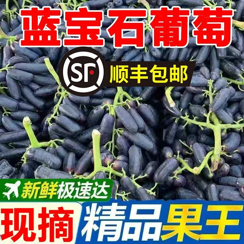 顺丰【现摘】蓝宝石葡萄新鲜水果整串美人指鲜果金手指无籽黑提子