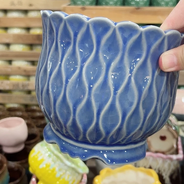 多肉植物陶瓷花瓶