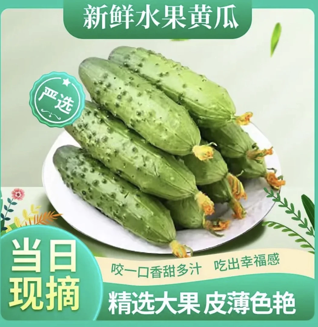 东北农家小菜园 东北旱黄瓜 农村种植 清脆可口 亦果亦蔬3斤-5斤