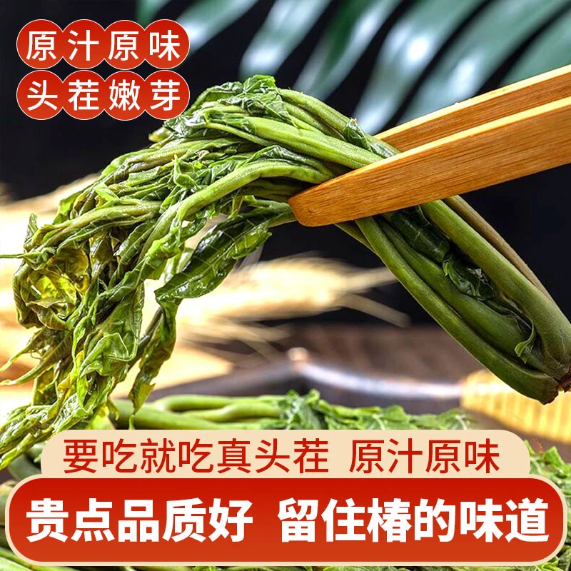 头茬盐渍香椿芽 整根新鲜腌制 正宗山东特产 香椿咸菜即食下饭N2