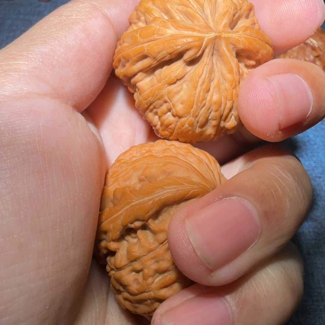 文玩核桃把件h**丶蛟龙38尺寸X107