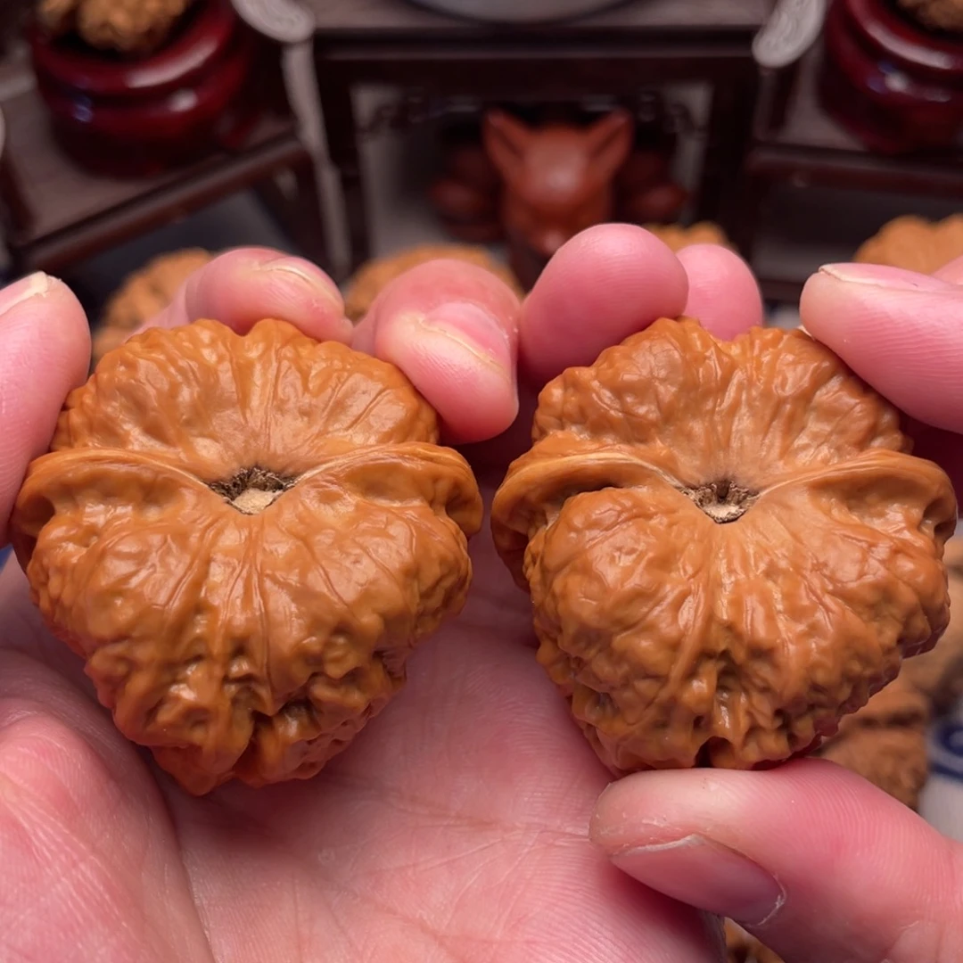 米****?蛤蟆头42尺红皮老树