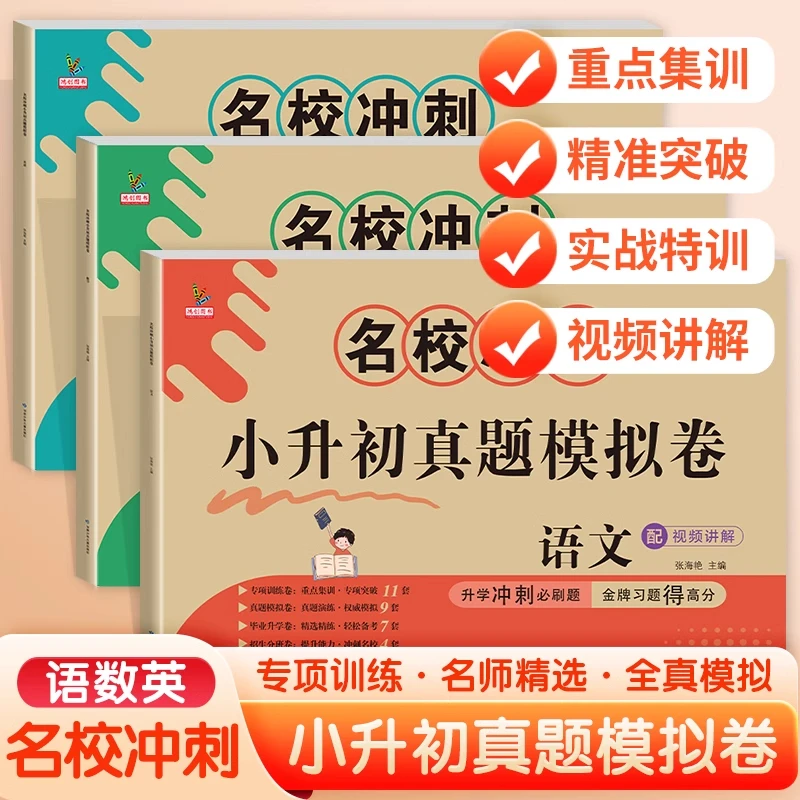小升初真题模拟卷升学总复习刷题测试卷名校期末专项训练HCTS