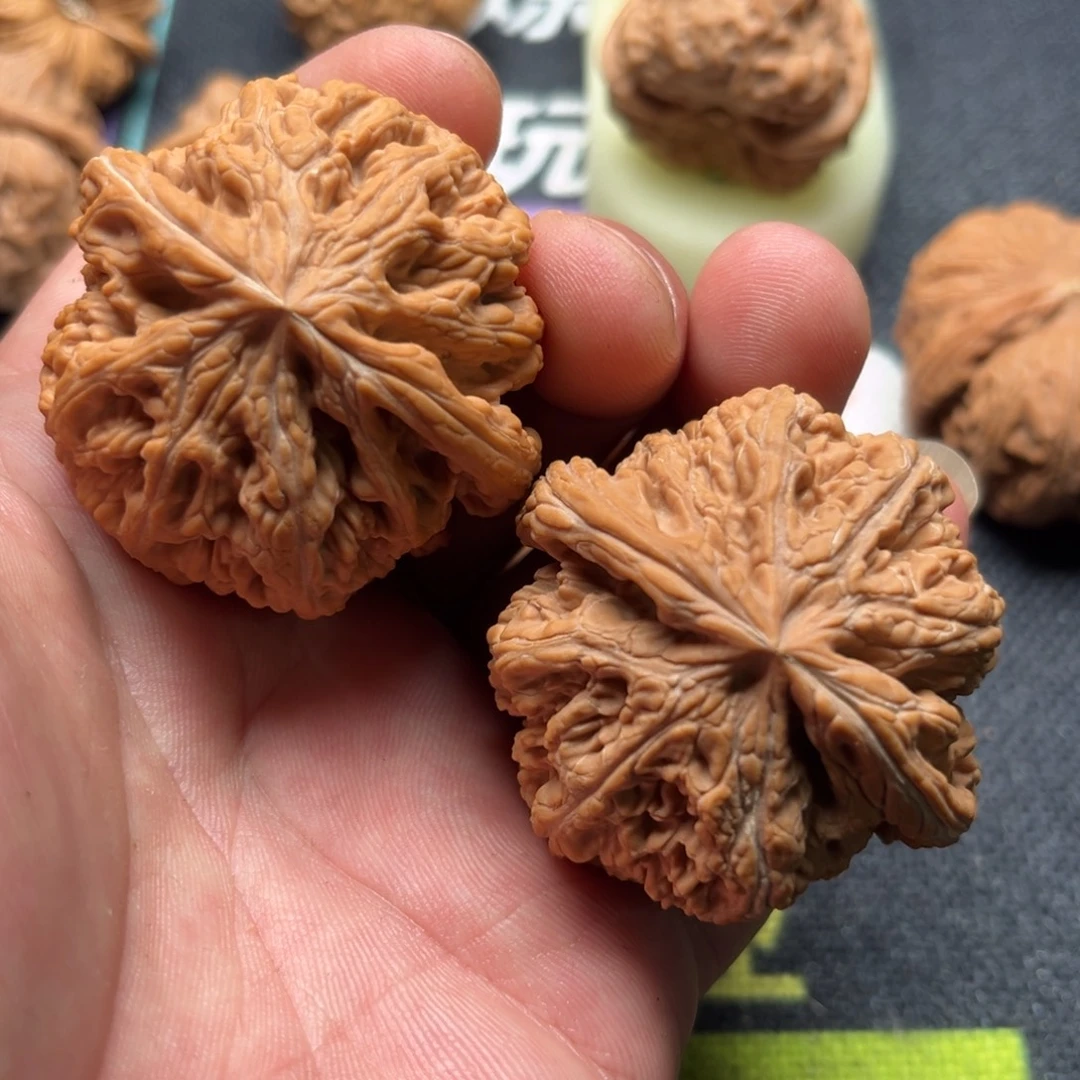 核桃大粗筋全品无修