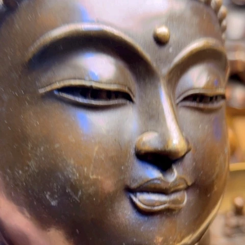 直播间专属链接点击下单即可