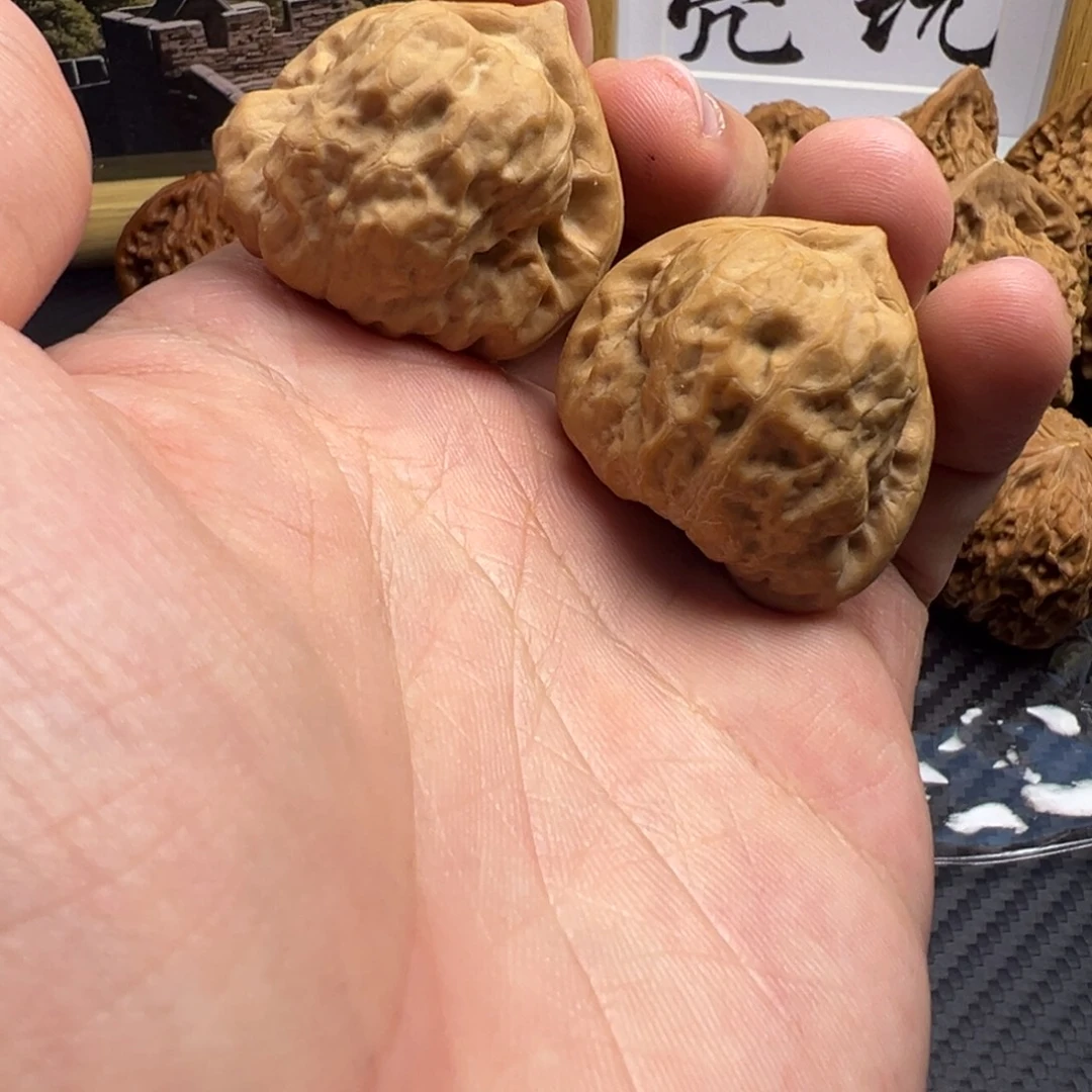 文玩核桃把件古蟾