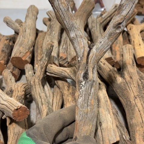 大果紫檀（缅甸花梨）張**！