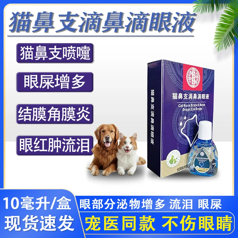 宠物猫咪鼻支滴鼻滴眼液结膜角膜炎眼屎增多流脓眼部问题
