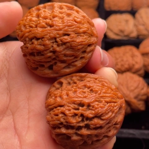 文玩核桃把件秦岭山脉核桃