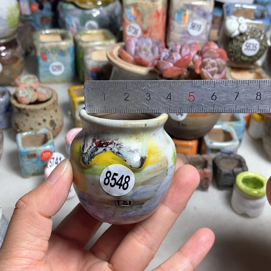 拍5送一个小礼物