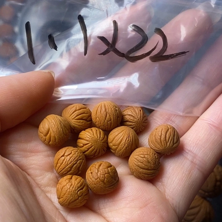 文玩核桃手串秦岭野生龙纹桃核11