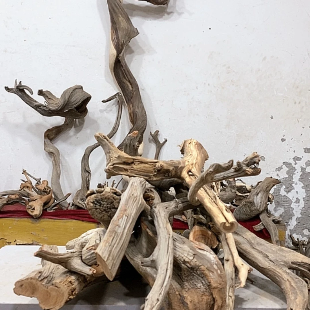 【闪购商品】柏木石***6我们的目标就是