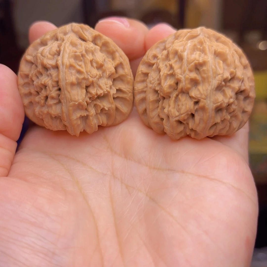 白狮子39尺的来喽