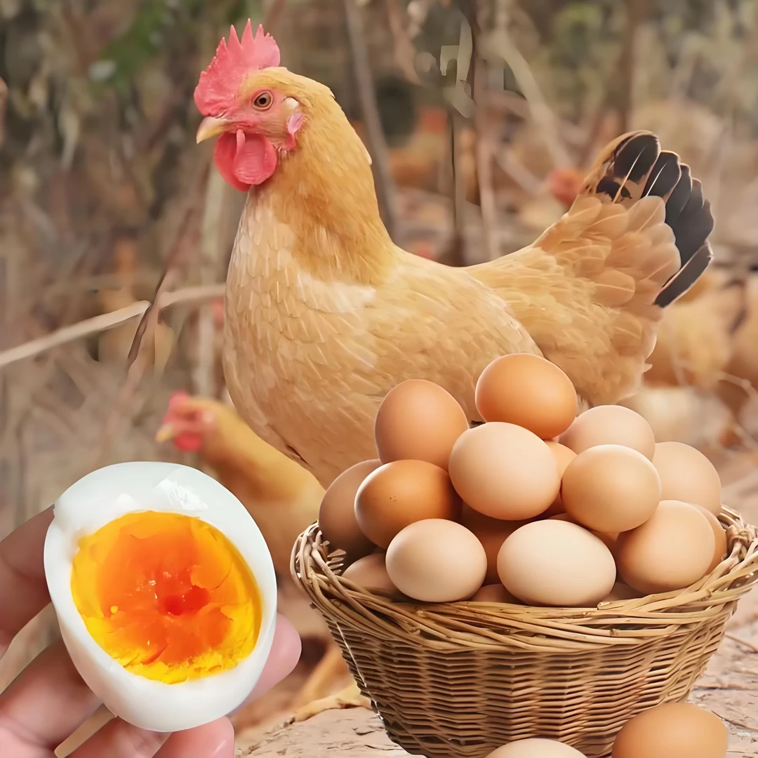 【蛋之家小时达送到家】果园散养溜达鸡蛋10枚