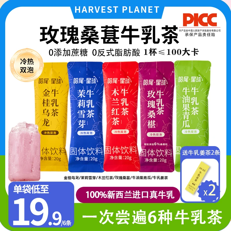 茉莉牛乳茶平替奶茶粉桂花红茶玫瑰桑葚奶茶轻乳茶冲饮小包装冲泡