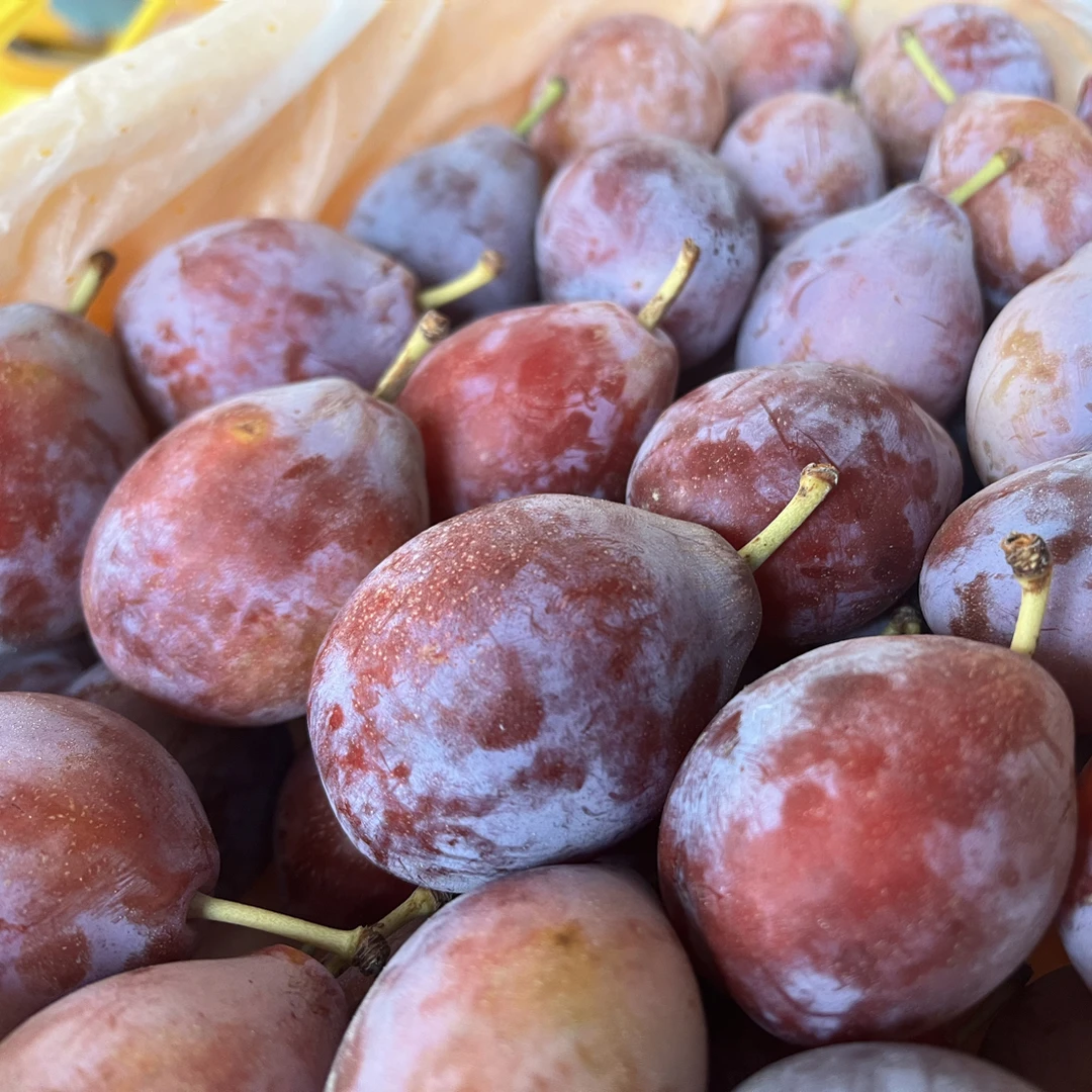 [两广次日达]新疆特产清甜西梅新鲜水果甜蜜4斤带箱