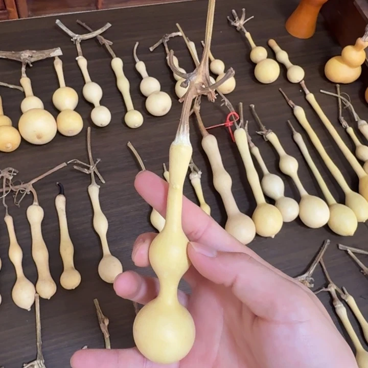 C***r精品杆子新皮周正