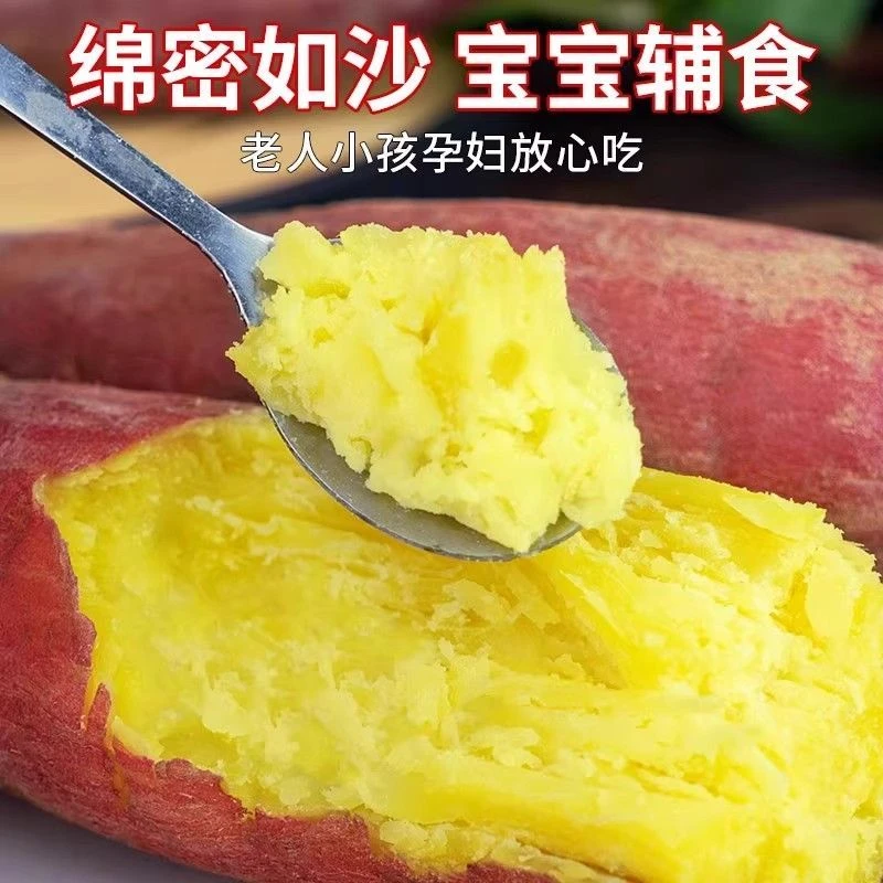贵州高山本地白黄心板栗薯宝宝孕妇辅食地瓜又甜又面代餐饱腹山芋