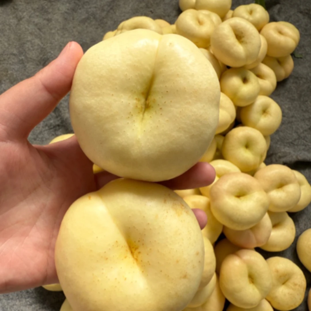 蒙阴奶油蟠桃新鲜当季水果爆甜多汁夏日尝鲜白蟠桃