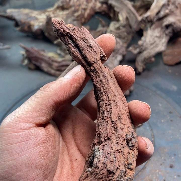 黄花梨/降香黄檀用****2海南红降