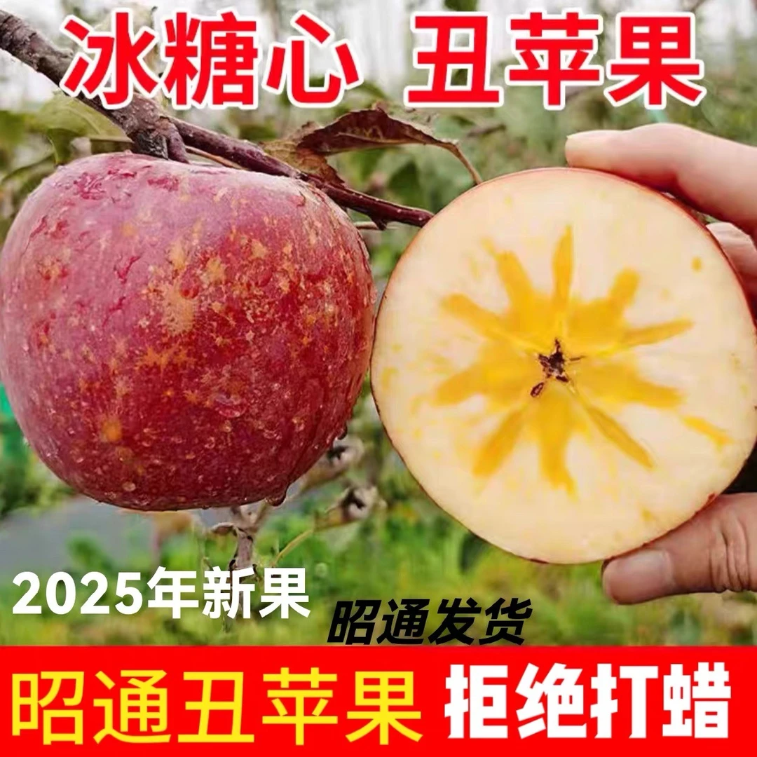 产地直发云南正宗现摘冰印红苹果昭通冰糖心丑苹果新鲜脆甜水果