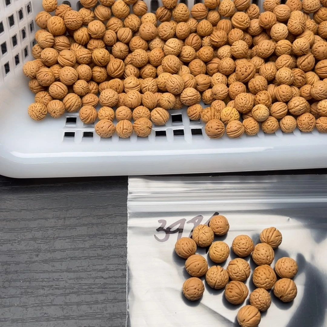 7***1核桃手串/手链散籽发货150不退不换
