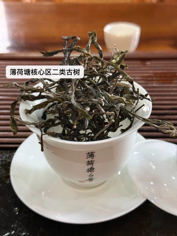 25年薄荷塘二类精选古树纯料头春普洱生茶