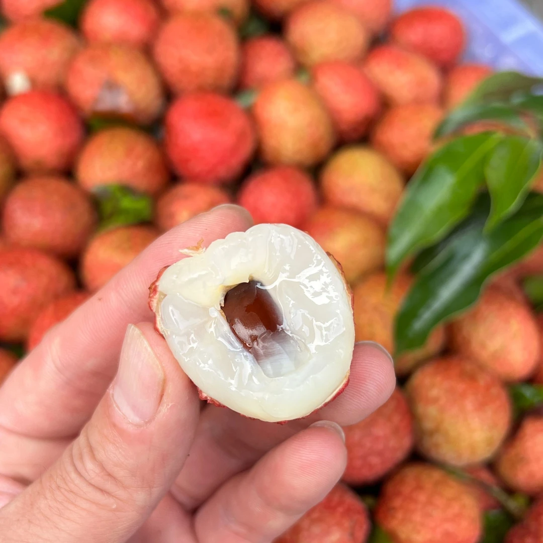 广东茂名白糖罂荔枝新鲜水果新果香甜饱满1.5斤/2.5斤/4.5斤