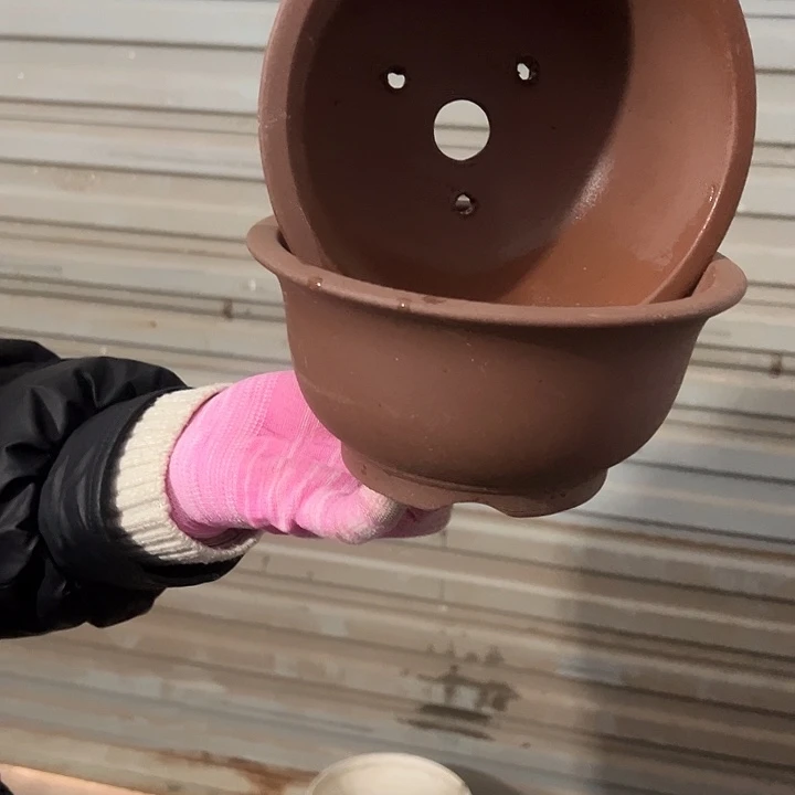 13+13茶林小碗花盆花盆