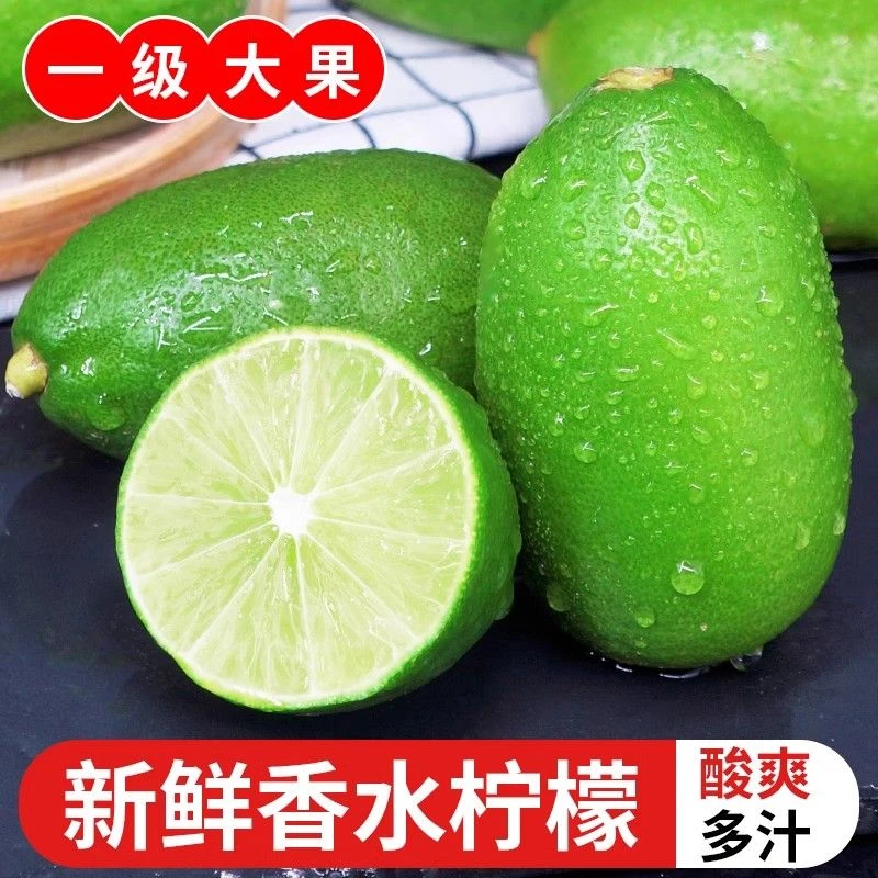 新鲜香水柠檬一级应当季水果非广东斤海南无籽青柠檬奶茶店专用10