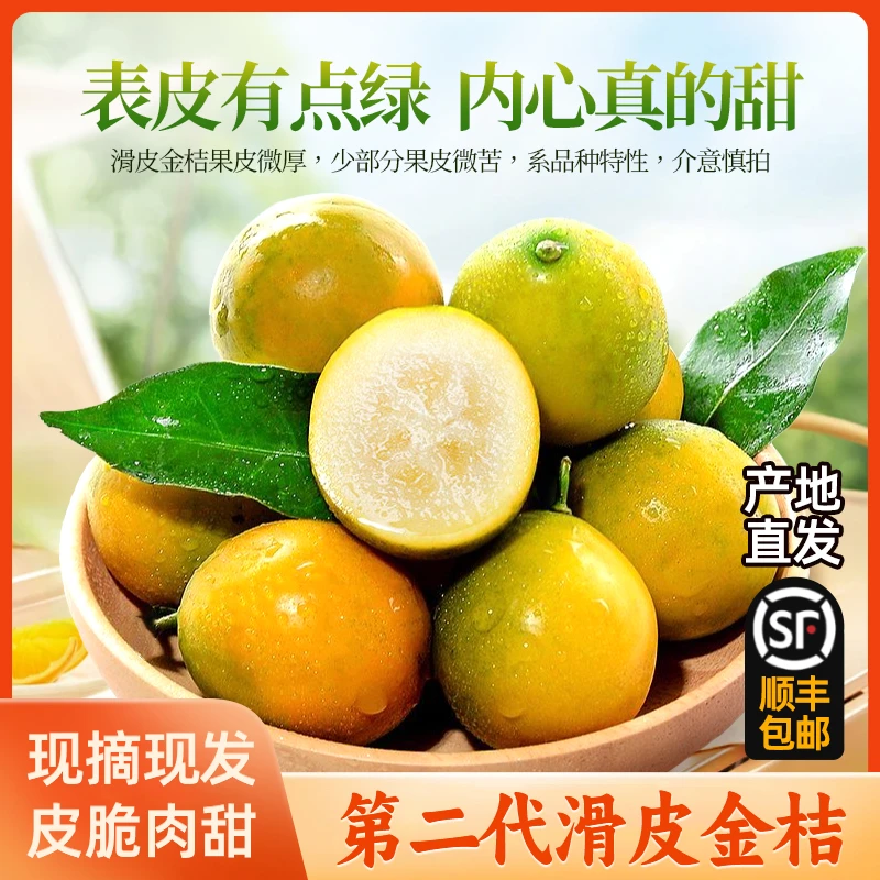 【第二代】广西融安金桔水果脆皮糖心应季水果新鲜滑皮孕妇顺丰QP