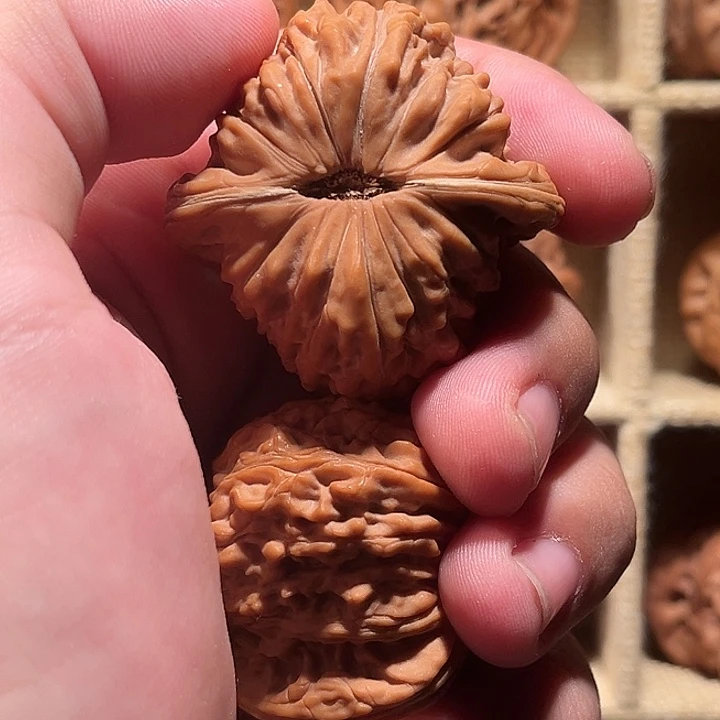 吊坠白玉菩提精品文玩白玉核桃