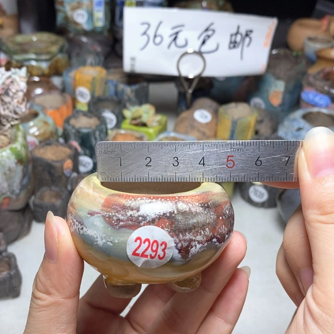 拍5送一个小礼物