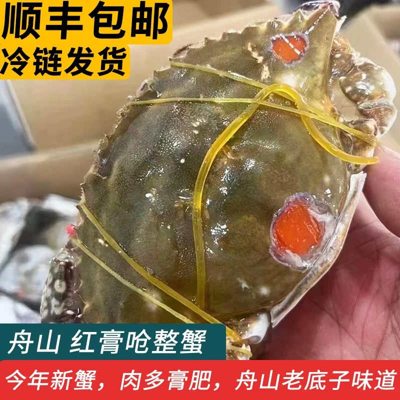 舟山红膏呛蟹生腌蟹醉蟹酱蟹酱母蟹宁波红膏呛蟹炝蟹特产咸呛蟹糊
