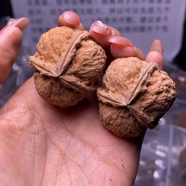 核桃云南野生铁核桃126号39