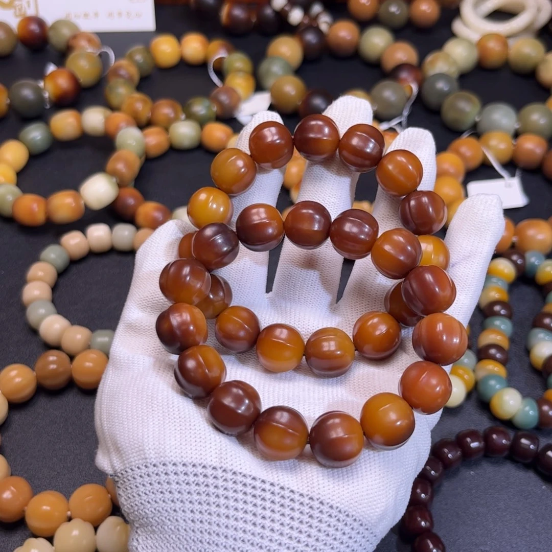 菩提根/象牙果吊坠卡14焦糖鲨鱼全品