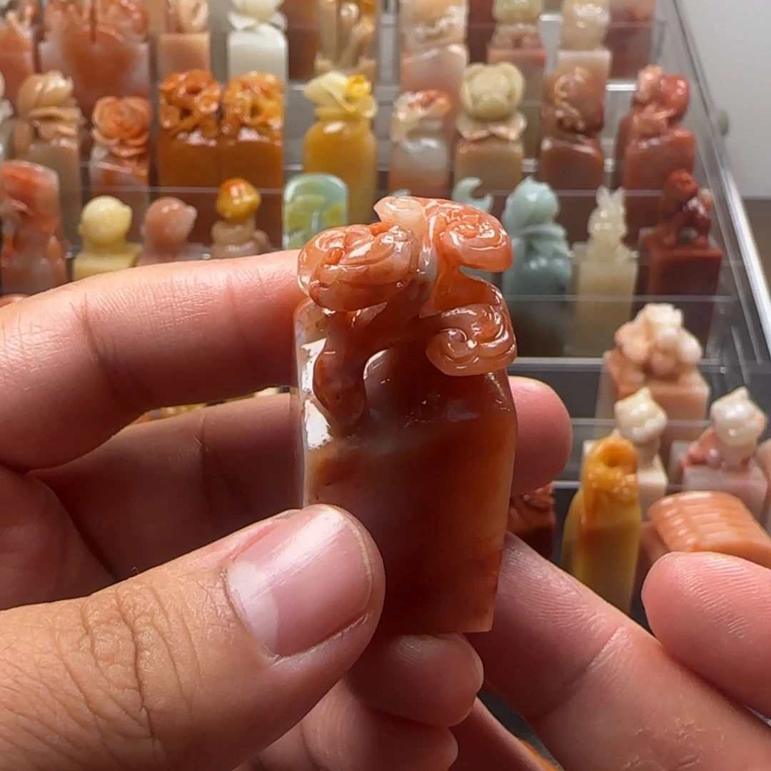 老挝石灵芝  2.2×4.6