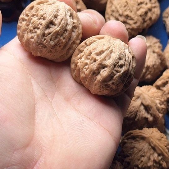 39全品无修铁锤妹妹