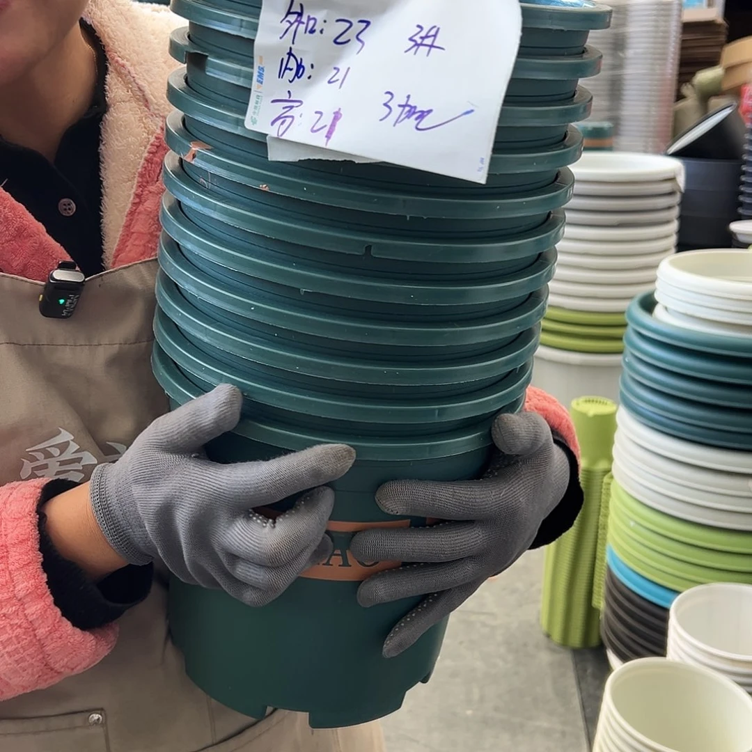 瑕疵3加仑墨绿色10个无托