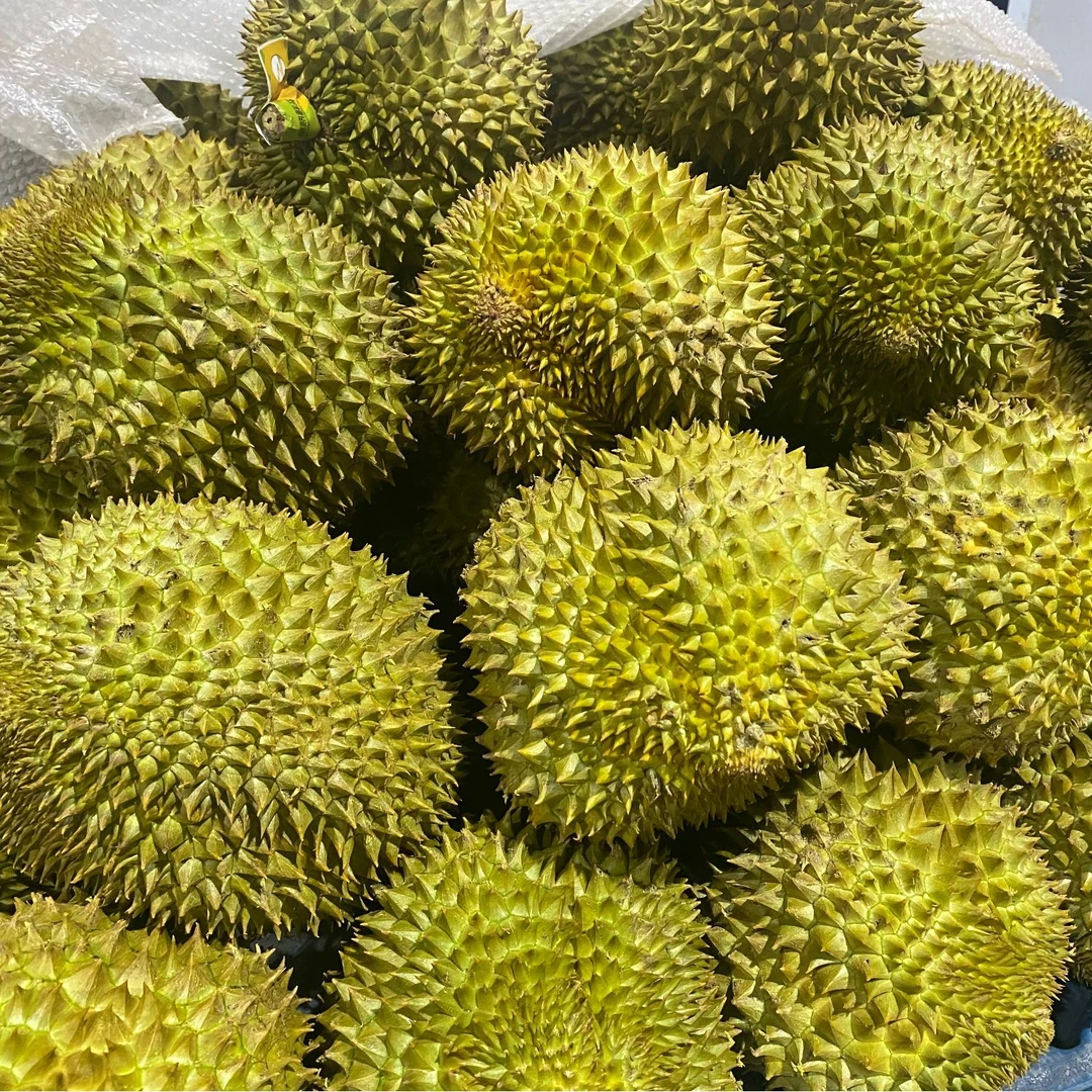 【顺丰包邮 整箱】3颗装整箱AA级新鲜金枕榴莲软糯香甜净果19斤