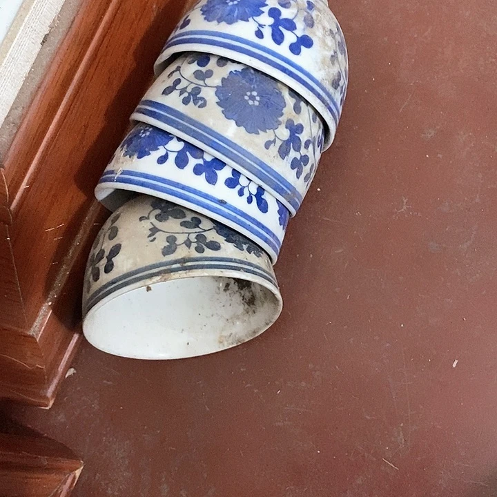 瓷片梅*赋我是第一百个